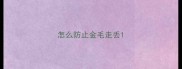 怎么防止金毛走丢