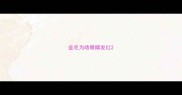 金毛为啥眼睛发红