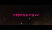 蜥蜴能当宠物养吗