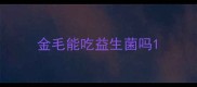 金毛能吃益生菌吗