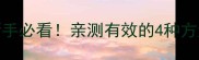 金毛毛发变直攻略新手必看亲测有效的4种方法让狗狗颜值飙升