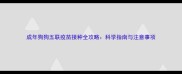 成年狗狗五联疫苗接种全攻略科学指南与注意事项