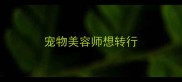 宠物美容师想转行