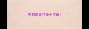 狗狗需要打细小疫苗