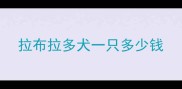 拉布拉多犬一只多少钱