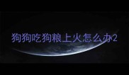 狗狗吃狗粮上火怎么办