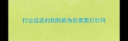 打过疫苗的狗狗抓伤后需要打针吗