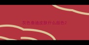 灰色泰迪皮肤什么颜色