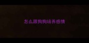 怎么跟狗狗培养感情