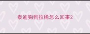 泰迪狗狗拉稀怎么回事