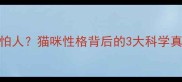 猫咪不怕人猫咪性格背后的3大科学真相