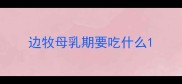 边牧母乳期要吃什么