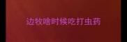 边牧啥时候吃打虫药