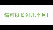 猫可以长到几个月