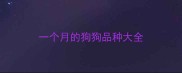 一个月的狗狗品种大全