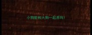 小狗能和大狗一起养吗