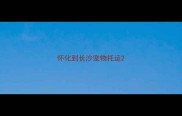 怀化到长沙宠物托运