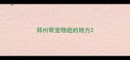 郑州带宠物逛的地方