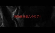 狗狗换牙是几个月了