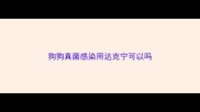 狗狗真菌感染用达克宁可以吗