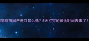 狗狗疫苗国产进口怎么选5天打完的黄金时间表来了