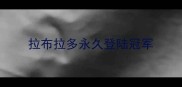 拉布拉多永久登陆冠军
