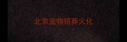 北京宠物殡葬火化