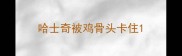哈士奇被鸡骨头卡住