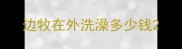 边牧在外洗澡多少钱