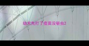 幼犬先打了疫苗没驱虫