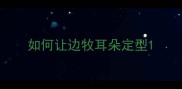 如何让边牧耳朵定型