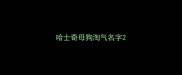 哈士奇母狗淘气名字