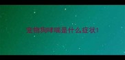 宠物狗哮喘是什么症状