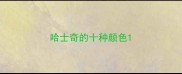 哈士奇的十种颜色