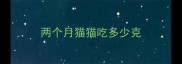 两个月猫猫吃多少克