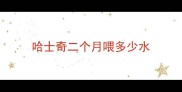 哈士奇二个月喂多少水