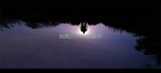狗狗几个月换肠子