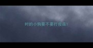 时的小狗要不要打疫苗