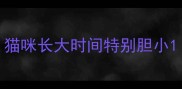 猫咪长大时间特别胆小