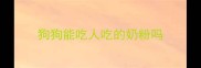 狗狗能吃人吃的奶粉吗