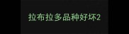 拉布拉多品种好坏