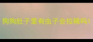 狗狗肚子里有虫子会拉稀吗