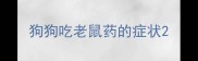 狗狗吃老鼠药的症状