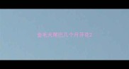 金毛犬尾巴几个月开花
