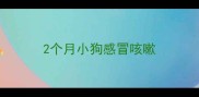 2个月小狗感冒咳嗽
