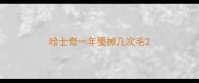 哈士奇一年要掉几次毛