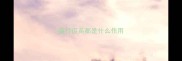猫打疫苗都是什么作用