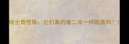 哈士奇性格它们真的像二哈一样疏离吗