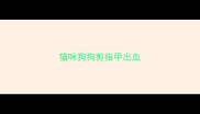 猫咪狗狗剪指甲出血