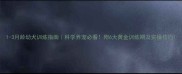 1-3月龄幼犬训练指南科学养宠必看附6大黄金训练期及实操技巧